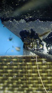 49K views · 526 reactions | Jump wiring challenge! Can you repair the iPhone camera flex cable via jump wiring? #iphonerepair #phonerepair #reballing #microsoldering #mobilerepair | REWA Tech | Facebook