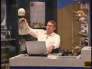 CSE 201 Class 10 Creation Science Evangelism Kent Hovind