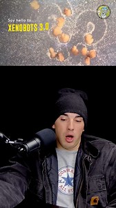 53K views · 828 reactions | 易Xenobots 3.0 - First Living Robots - Welcome to Nanobots烙 #xenobot #xenobots #nanobot #ai #toiletimetv | Toilet Time TV | Facebook