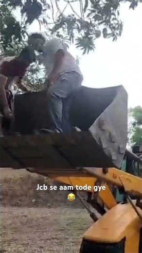 JCB MANGO PLUCKING #travel
