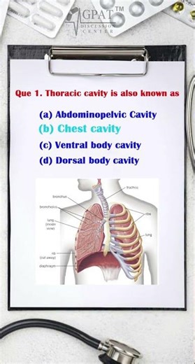 Thoracic Cavity is Also Known As? | Important MCQ #ThoracicCavity #ChestCavity