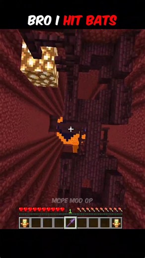 Bro I Hit Bats #minecraft
