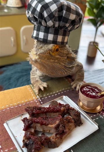 One of my favorite questions of all time. When Lenny made these “tiny” ribs, someone asked if they were from a hamster. No, I’m not cooking hamsters for content, I just use full-sized ingredients to make miniature versions. 🤣