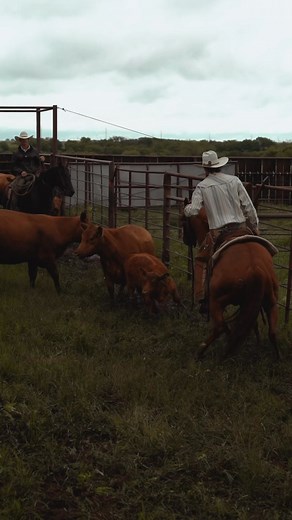 Reminiscing on Spring Works at the A-1 Ranch ☔️ | Division 1 Media