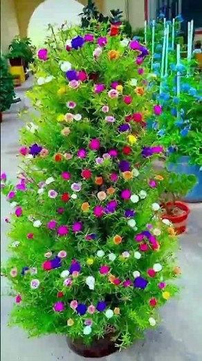 ✂️ The Secret to MORE Blooms! How to Prune Your Flowers for an EXPLOSION of Color! 🌸