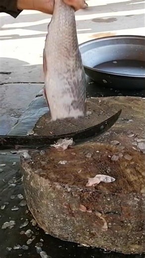 Fish Skin Cleaning Technique