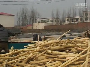 木材剥皮机木材削片机生产线