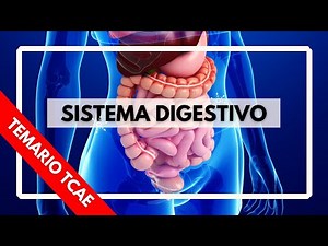 Temario de TCAE: El sistema digestivo//de TCAE a TCAE