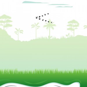 1.8K views · 138 reactions | Goat Land Farms (Pvt) Ltd. Dinga Road Dhama Lalamusa District Gujrat Pakistan | Goat Land Farms | Facebook