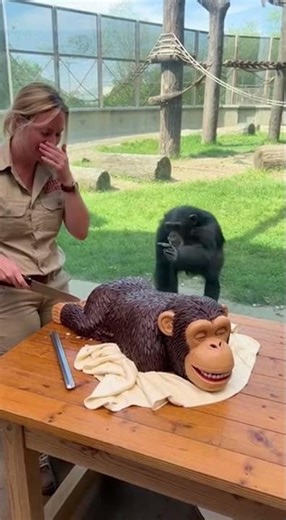 Monkey Loses It Over the Cake 😂🐒 #funny #monkey #animals #zoo