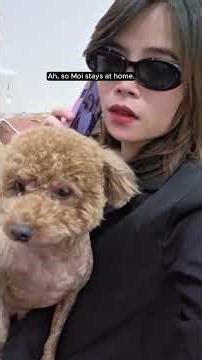 I Pretended to Talk About My Dog on the Phone... His Reaction is PRICELESS! 🐶📱