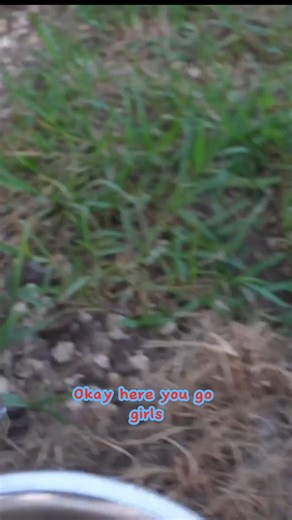 Hannah Feder on Reels