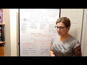 GCSE: Coasts; cave/ arch/ stack formation