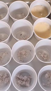 103K views · 1K reactions | Receta de limber de coco 﫶﫶 1 un coco...