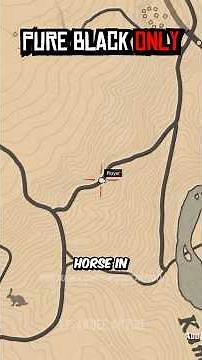 This Is the ONLY Pure Black Horse in RDR2 (Most Players Miss It)