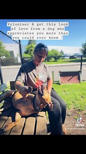 8.5K views · 1.4K reactions | **CHERRY NEEDS A HOME** Cherry #20-275....