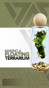1.4M views · 73K reactions | My experimental floating terrarium  #tutorial #plants #terrarium #moss #howto #diy #portland | Johnathon Q Swanson | Facebook