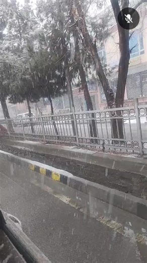 شـــاه کـــمـــپـیـوټــر ســنــټر Shah Computer Center on Reels