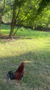 11K views · 2.3K reactions | The Best FriendsSaszka i Przyjaciele...