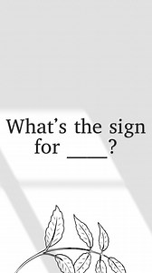 Phrase of the day: “What’s the sign for____? **To ask what’s the sign, you point out the things you would like to learn. Or you can finger spell it. ** #learnasl #deafvlogger #deafculture #deafcommunity #americansignlanguage #siganguage #whats #the #sign #for | Learn ASL with Deborah