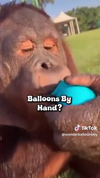 DIY Balloon Display Setup Made Simple and Fun