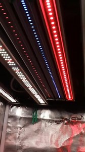 Best Grow Light For 3x3 Tent - Mars Hydro FC4800-EVO w/ADlite! 🪴 📸@stealthgrows Explore more ➡️ https://www.mars-hydro.com/smart-fc4800-samsung-lm301h-evo-led-grow-light | Mars Hydro LED