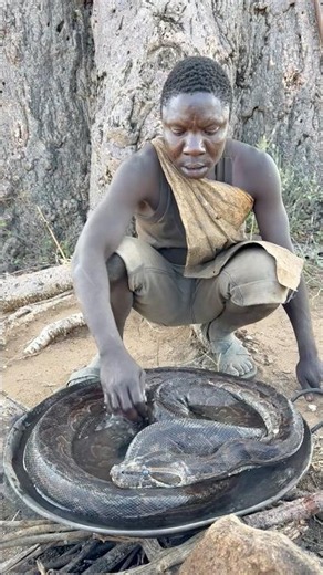 Chaabaa cooking big python meat alone