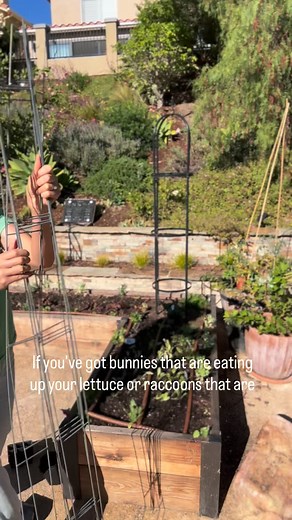 1.4K views · 138 reactions | Critters and pests are the worst…  The...