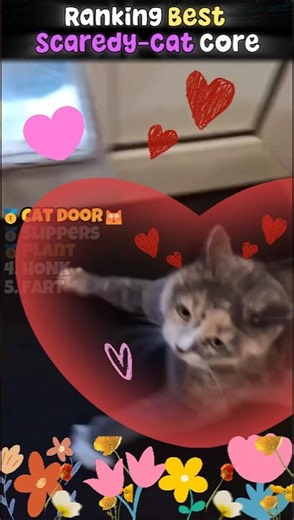 Ranking the Funniest Scaredy Cat Moments 😹🙀