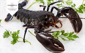 How To Kill A Lobster Humanely Before Cooking? | Fishermen's Net