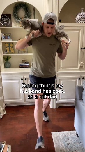 Which idea was his best idea? #cats #catdad #funnycats #catparent #repost | kuzcopluscleo