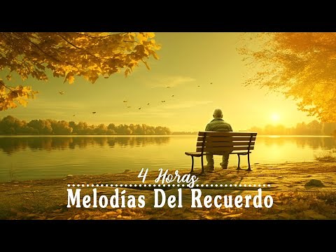 Beautiful and Pleasant Melodies of Memory / The instrumental hits of the 50's 60's 70's