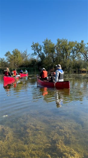 Eric is a student in the Fish and Wildlife program at Fleming College, and we caught up with him in his lecture hall, the great outdoors. 🛶 Learn more about the program and how you can #ApplyYourselfHERE at the link in our bio! | Fleming College