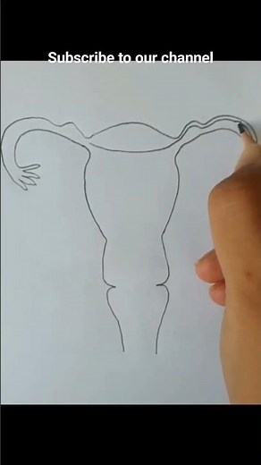 How to draw Female Reproductive System step by step 😇 #shortsviral #biology #youtube 🌸