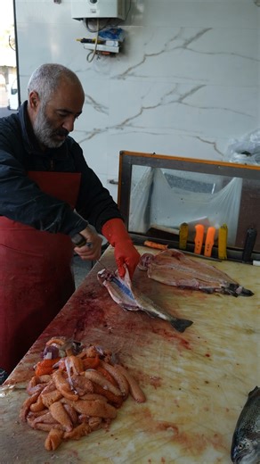 Fast and Efficient Fish Filleting Methods for Market Use