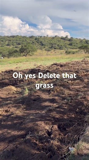 New project loading! Loving the YouTube AI description