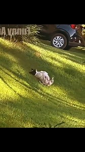 7.8K views · 362 reactions | Funny vids  | Cheer Up | Facebook