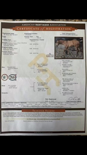 RGR Horses, is offering this great deal package  at a very...