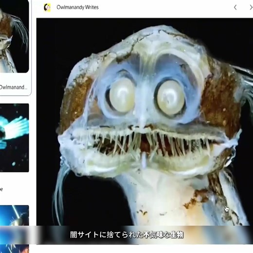 #深海魚（しんかいぎょ） #深海生物（しんかいせいぶつ） #海の深海 #珍しい魚（めずらしいさかな） #奇妙な生き物（きみょうないきもの）