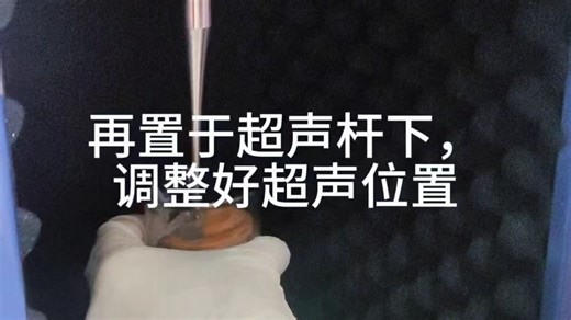 新手必看❗细胞蛋白样本制备全流程
