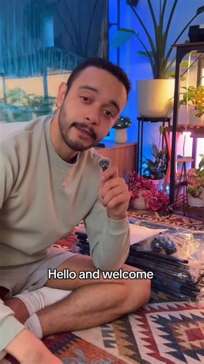 Planthony on Instagram: "We gotta build these plant shelves before Entei gets here 🐶🪴✨"