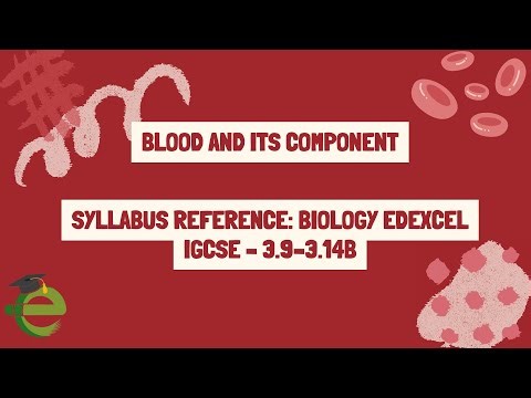 Biology Edexcel IGCSE – 3.9–3.14b