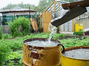 Water District Giving Away 1,500 Free Rain Barrels