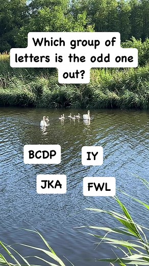 Think out loud #brainteaser #puzzle #riddle #family #fun #viral #reels #viralreels | Rob And Elizabeth