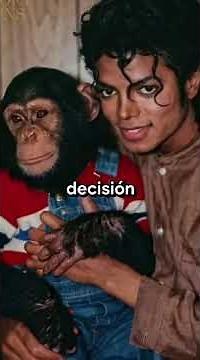The story of Bubbles, Michael Jackson's best chimpanzee friend! #lovienimagen
