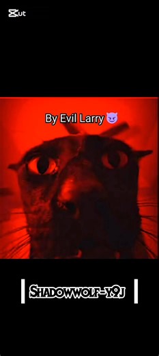 [ Cat memes ] Once I got attacked by Evil Larry. #viral #shorts