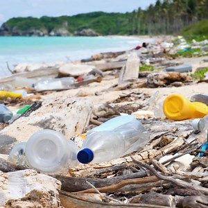 69 reactions · 52 shares | Refuse to buy water in plastic bottles and do your bit for the oceans  Be part of the solution, not the problem  Together #WeCan  | Cano Water | Facebook