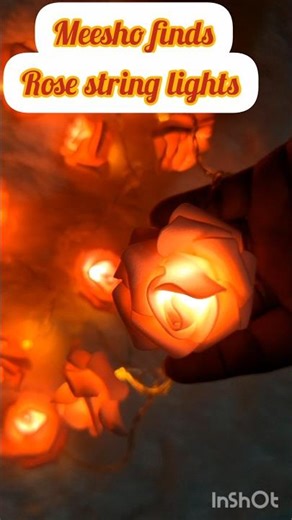 rose string lights#shorts#trending#adiaava