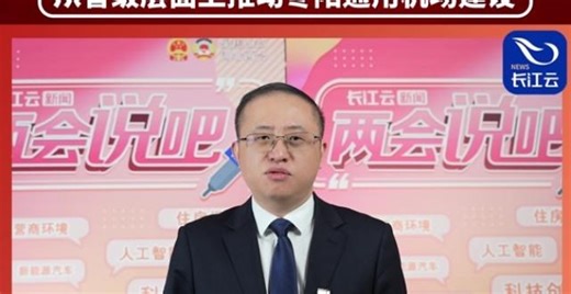 两会说吧 | 省人大代表孔令波：从省级层面推动枣阳通用机场建设_腾讯新闻