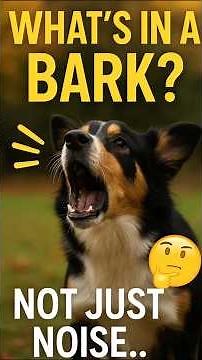 Why Do Dogs BARK So Much? | It’s Not What You Think!